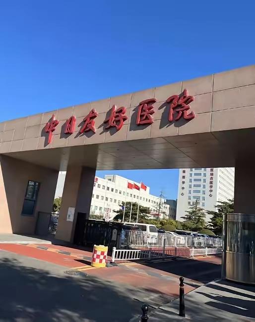 打小就听人说中日友好医院，一直以为是两国各有一家 。后来特意翻了日本的医院名单，