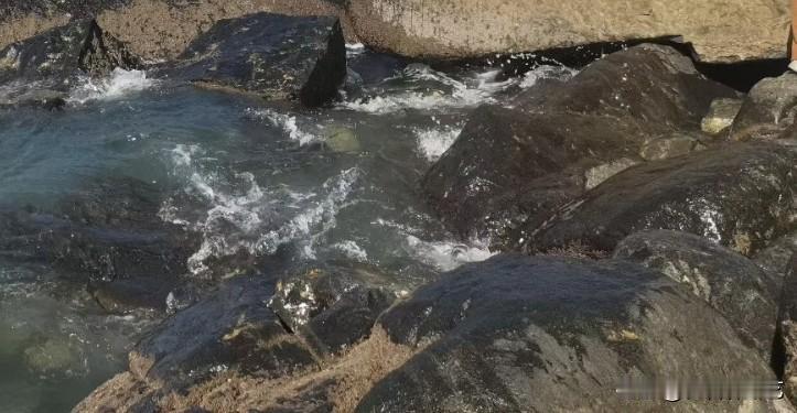 秋日生活打卡季海浪奔涌撞击黝黑礁石，溅起层层洁白浪花。海水清冽涌动，礁石浸润泛着
