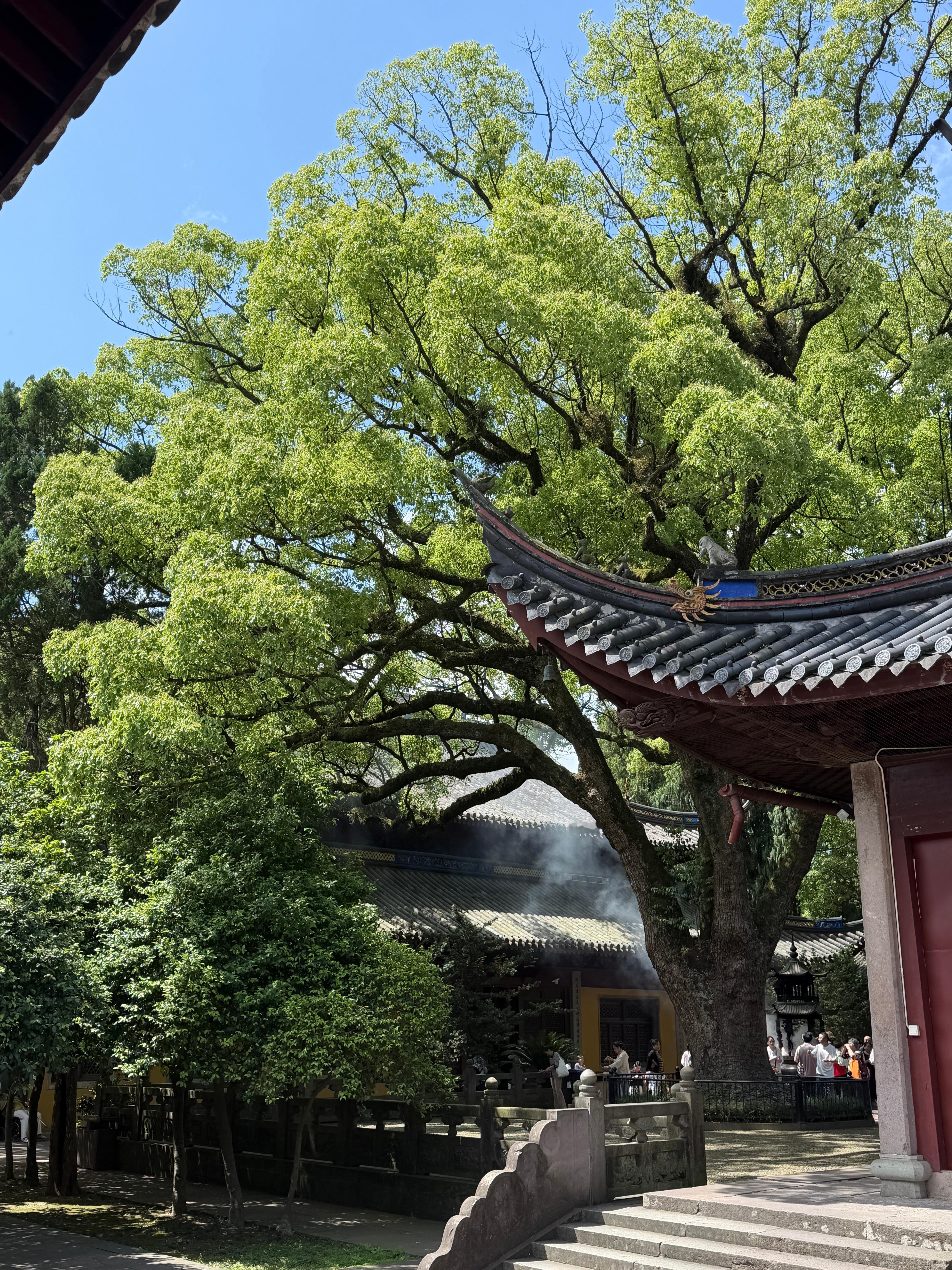 今天初一 宁波·阿育王寺