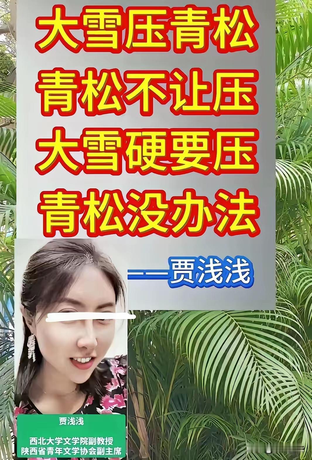 大雪压青松
青松心里惊
为何要压我
是你不中用