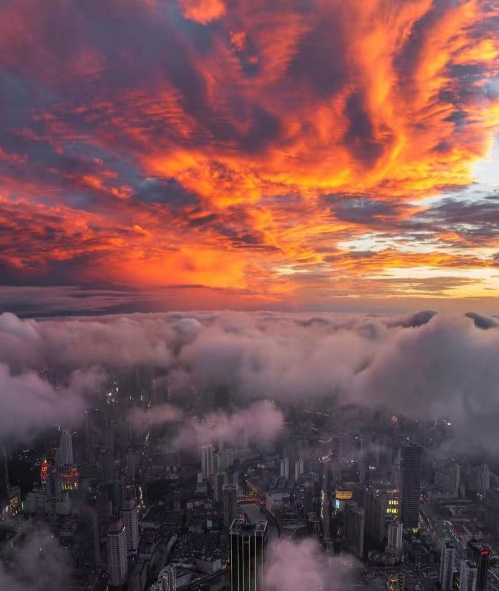 情感
这一天天的行走把我一点点倒空，又一点点充满。而在雨后闪亮的湖泊、日落后长满