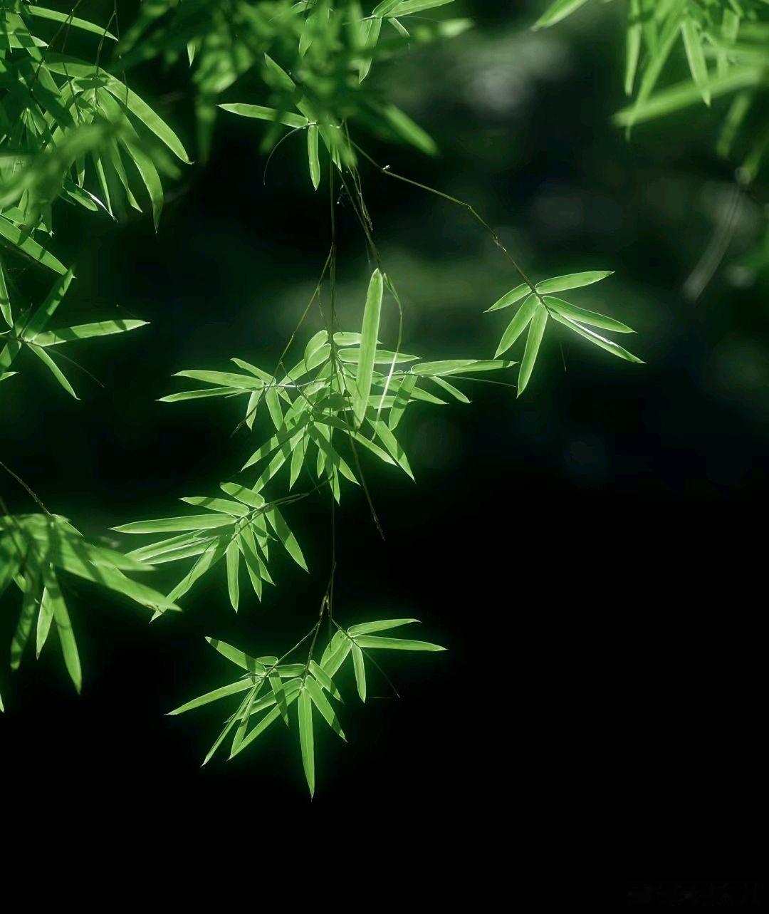 两年前，我发现老公背叛了我，对方是一个已婚女人。她有自己的家庭和孩子，却还和我老