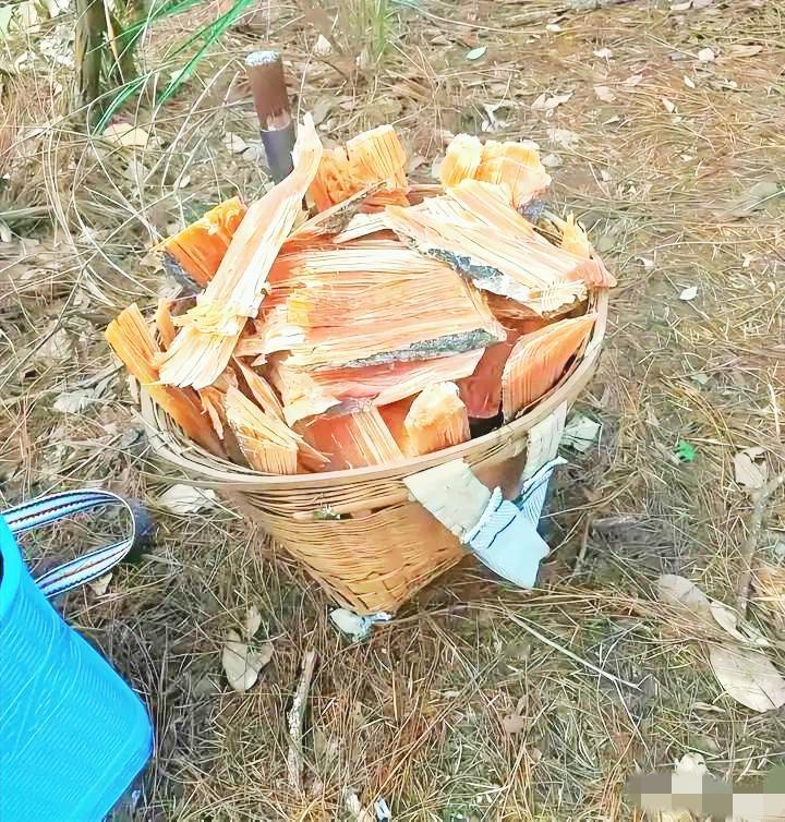 农村人先别说话，我敢打赌城里人都没有吃过这个东西。信不信？[what]