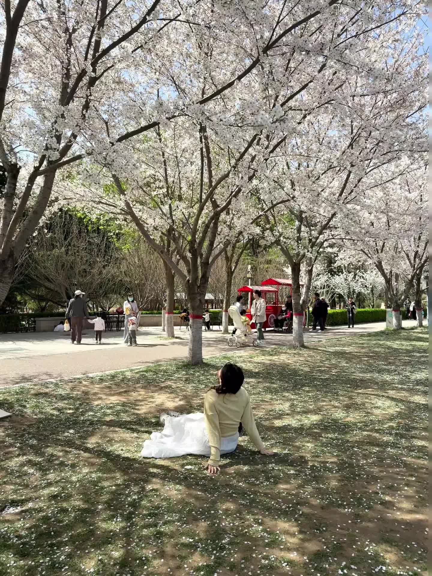 第一天，在玻璃窗前映出你的笑脸