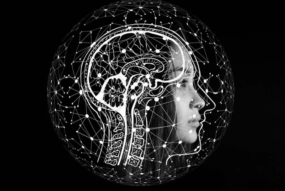 【AI大厂疯抢文科生月薪3万起，AI时代文科生比理科生吃香】3月17日，据凤凰W