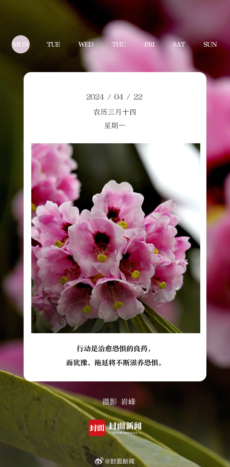 #小封日历# 早上好！今天你是几点醒的？[钟] ​​​