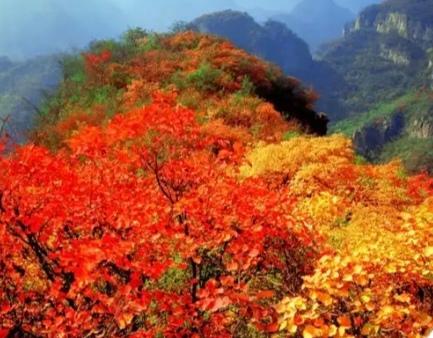 感秋
云过高天雁语悠，
风拂柳影动江舟。
千山色借秋神笔，
万壑霜染画九州。