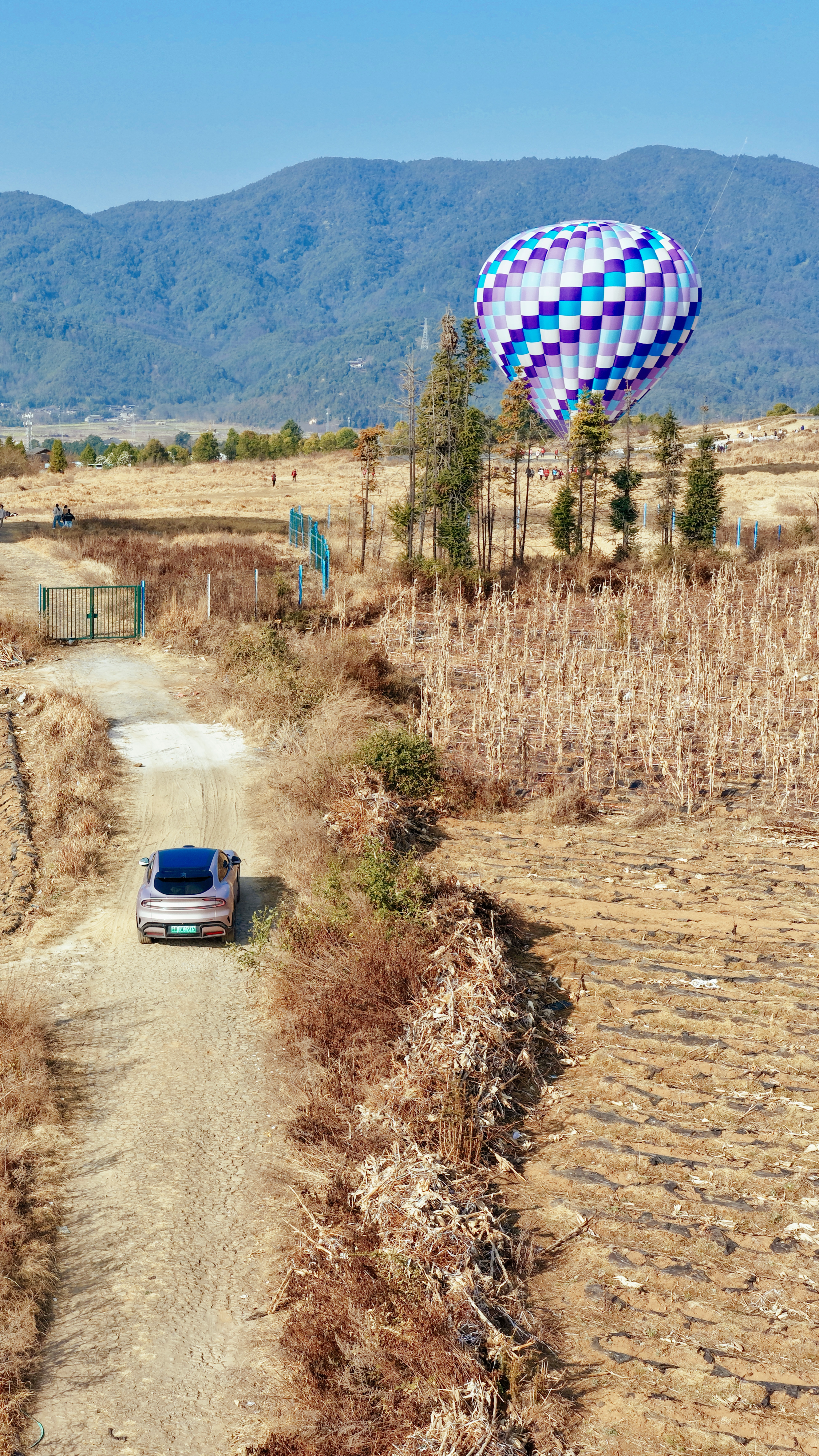 很硬的兄弟们早早早！ 起来硬