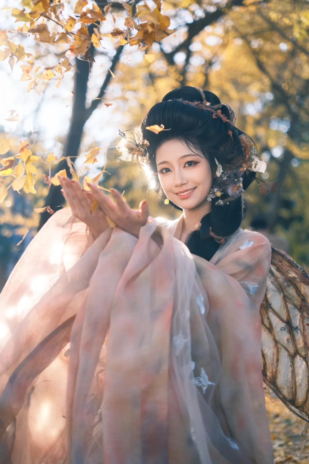 枯叶蝶｜满园银杏落秋风