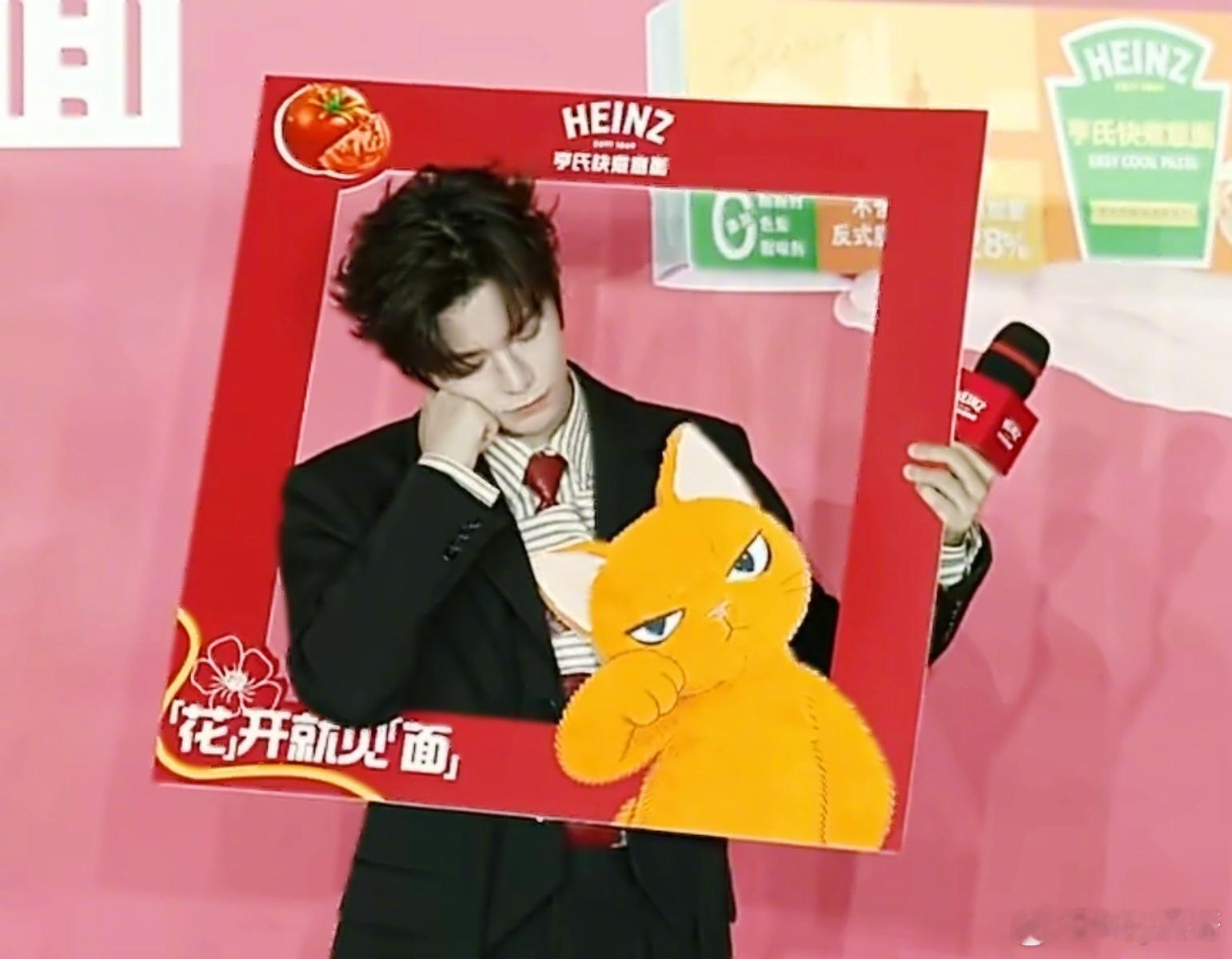 今天的直播，小猫三连拍高冷喵星人VS歪头小猫VS慵懒午后猫