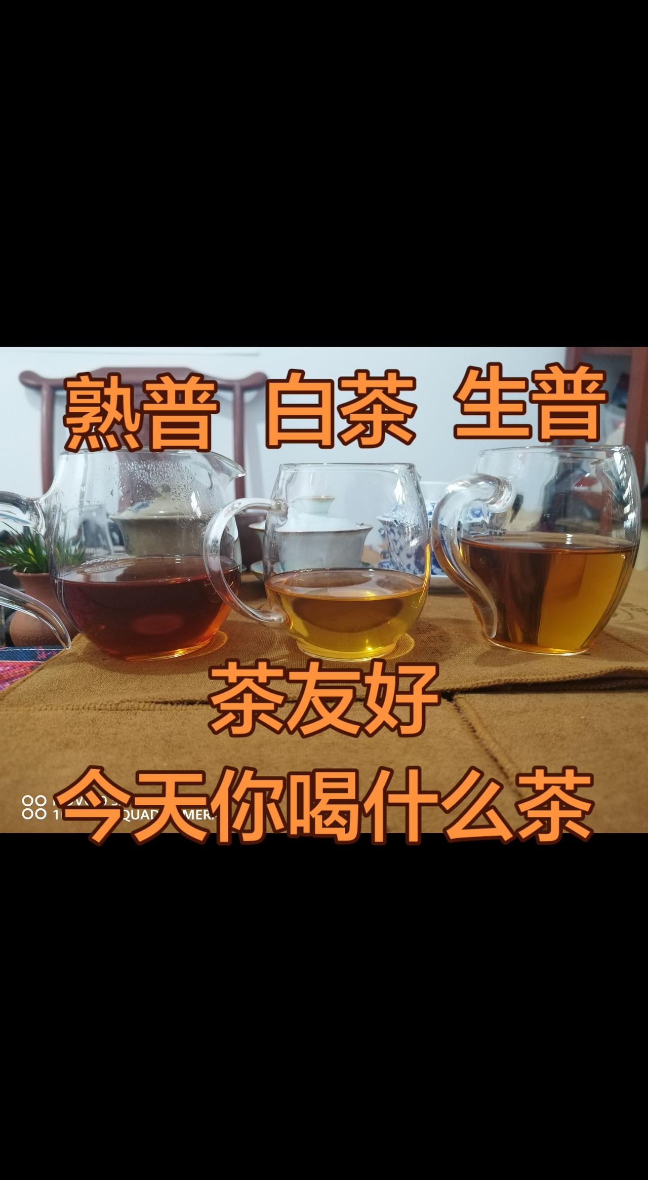 一张图证明你是喝茶人