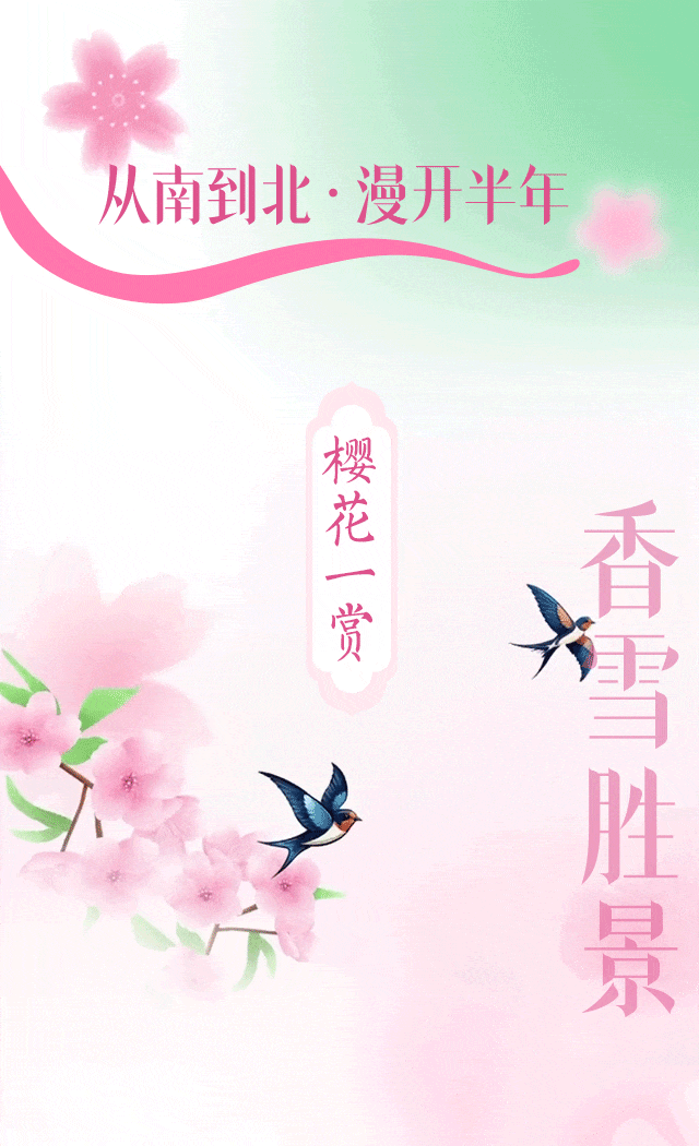 #樱花三赏画卷#【#相约春天赏樱花正当时#】三月的华夏大地繁花盛开、美景如画，要