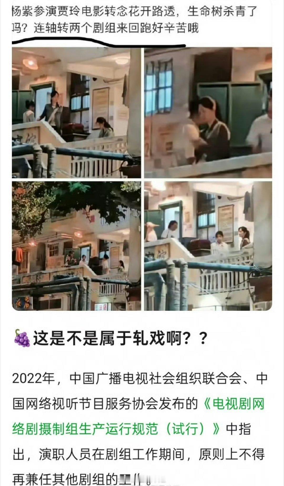 杨紫被质疑轧戏电影《转念花开》和电视剧《生命树》但是网友解释《转念花开》只是客串