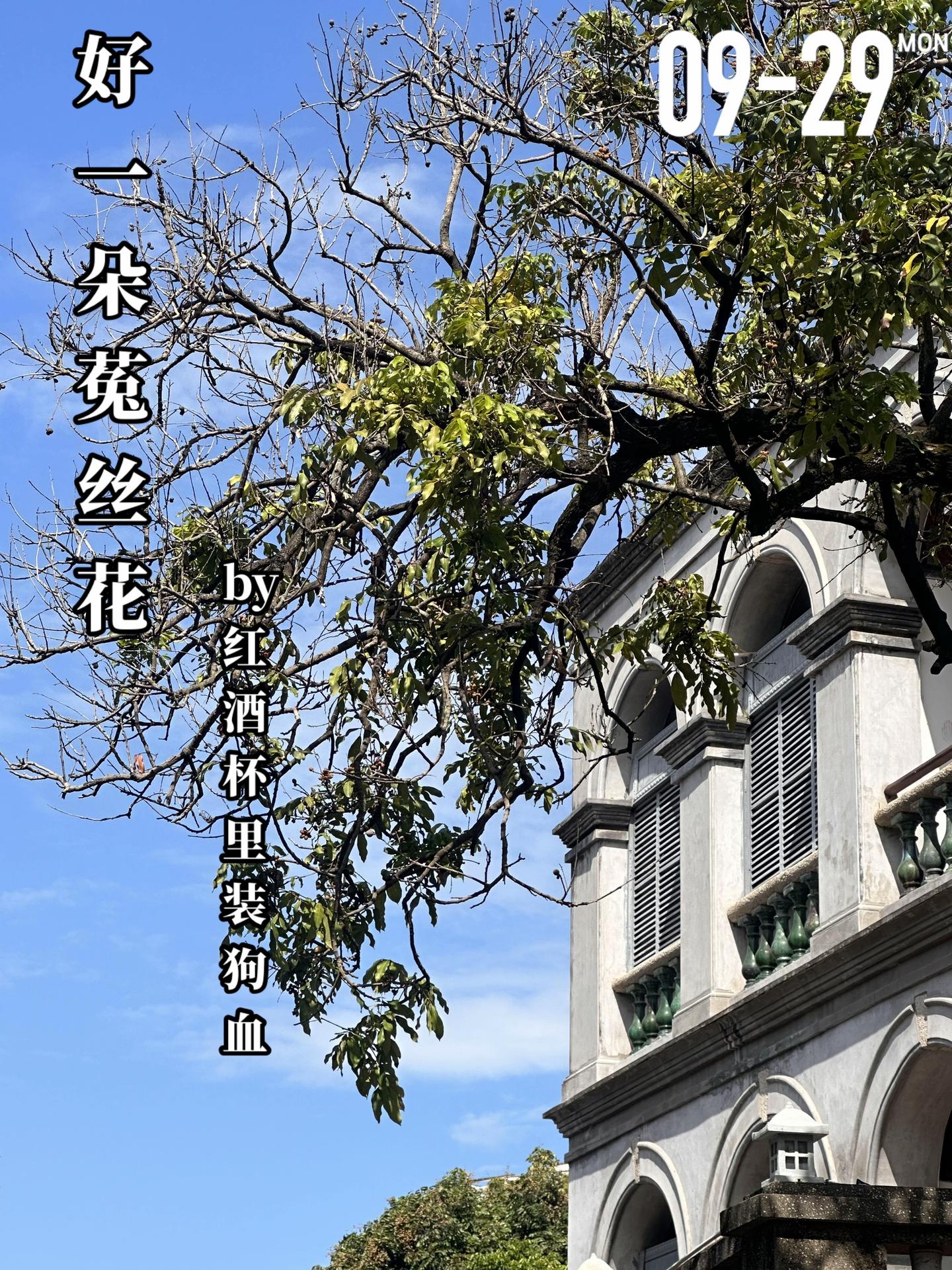 《好一朵菟丝花》by红酒杯里装狗血。吕娇倩（女主）的妈妈和邓静霆（男主...