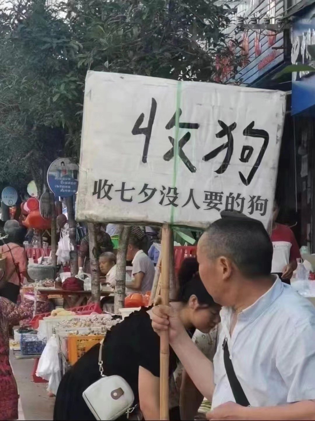 单身狗看过来🔈 ​​​