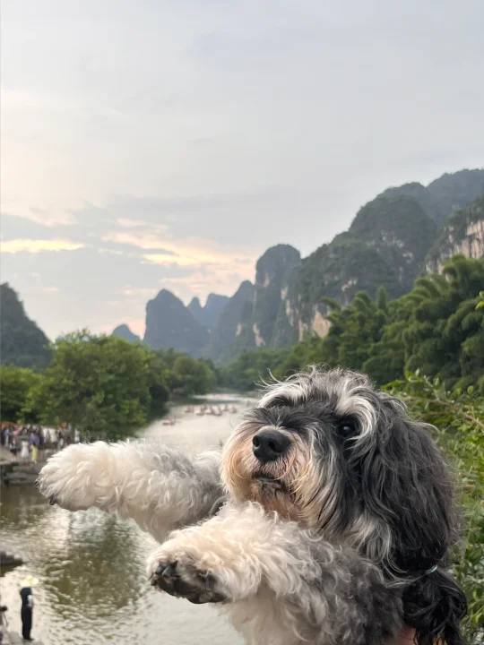 人. 你好. 我已被美景迷晕