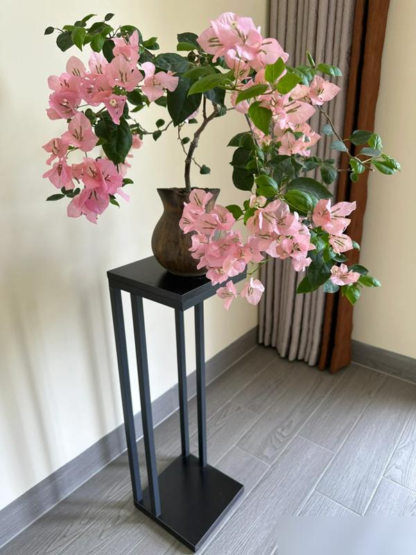 谁懂啊！养了三年的沙漠玫瑰突然烂根死了，查了才知道是犯了养花最蠢的错——小苗用大