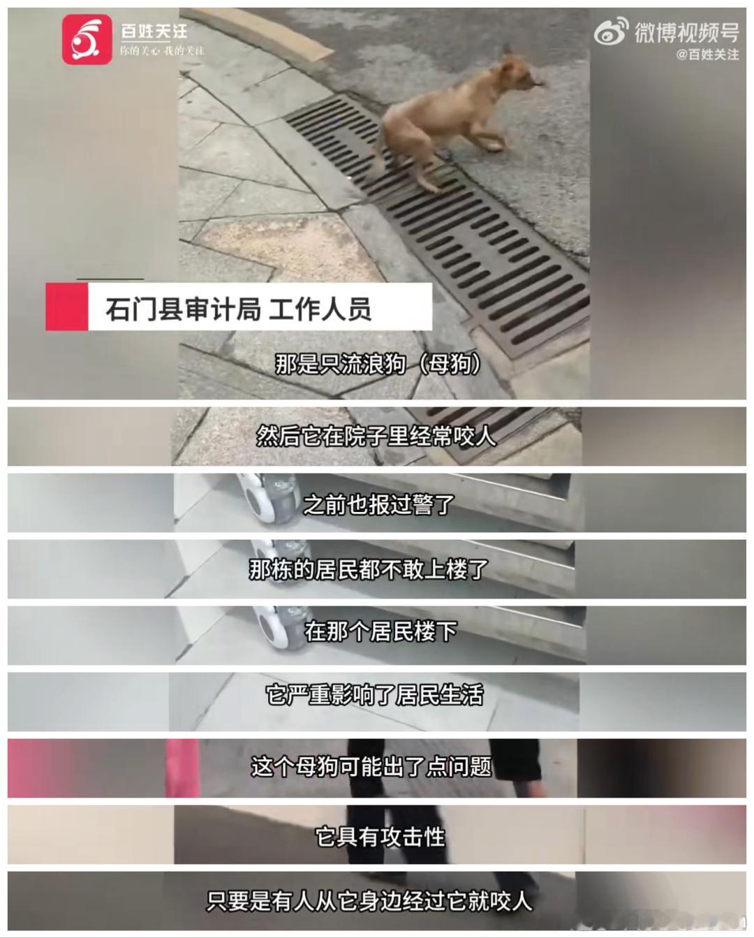 湖南一县审计局保安被指打死流浪狗🔻我发现流浪狗问题的本质就是：遇到了就是遇到了