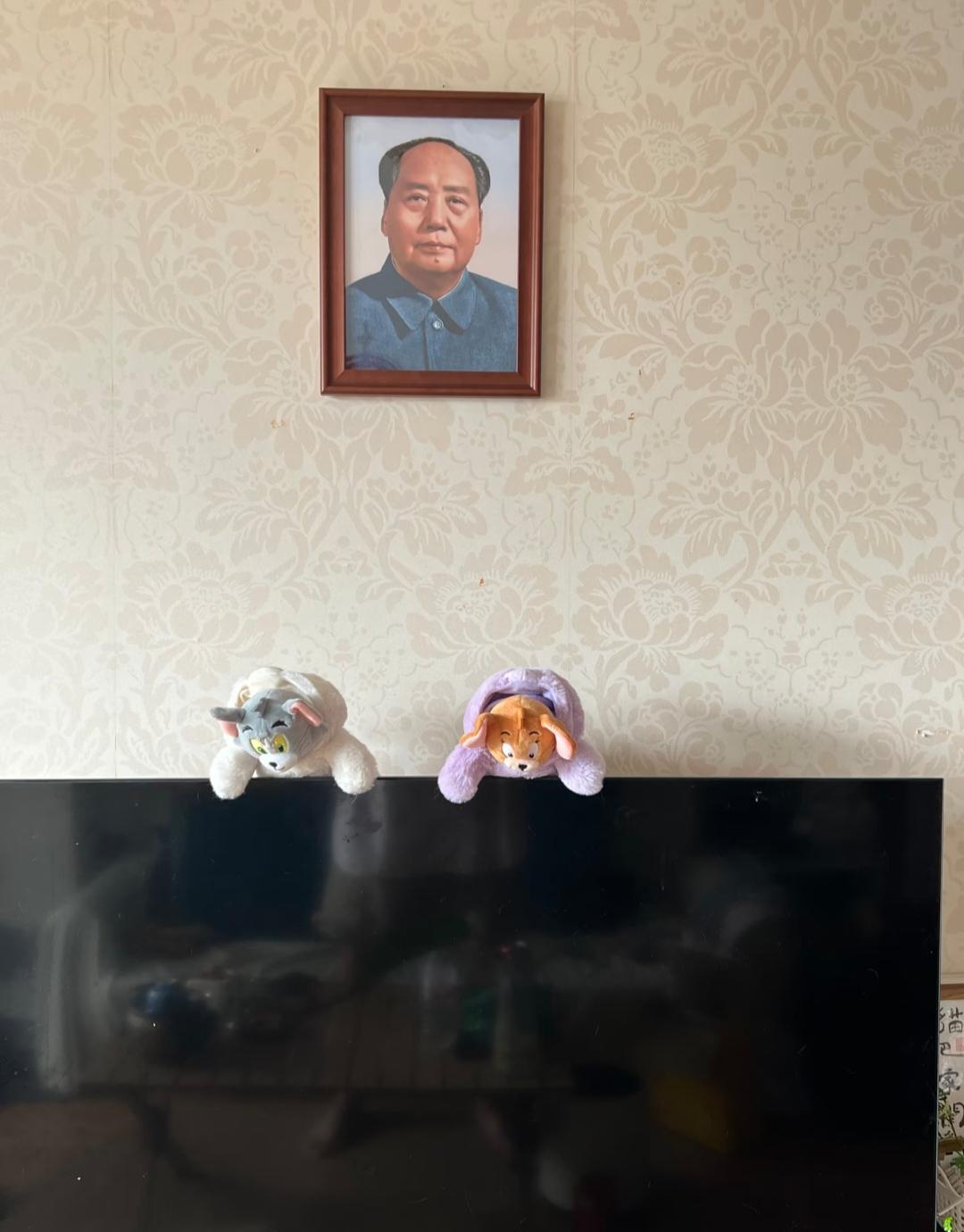 过年亲戚来家里串门
一进客厅就笑了
看见挂的毛爷爷
就笑着说
是不是想钱想疯了