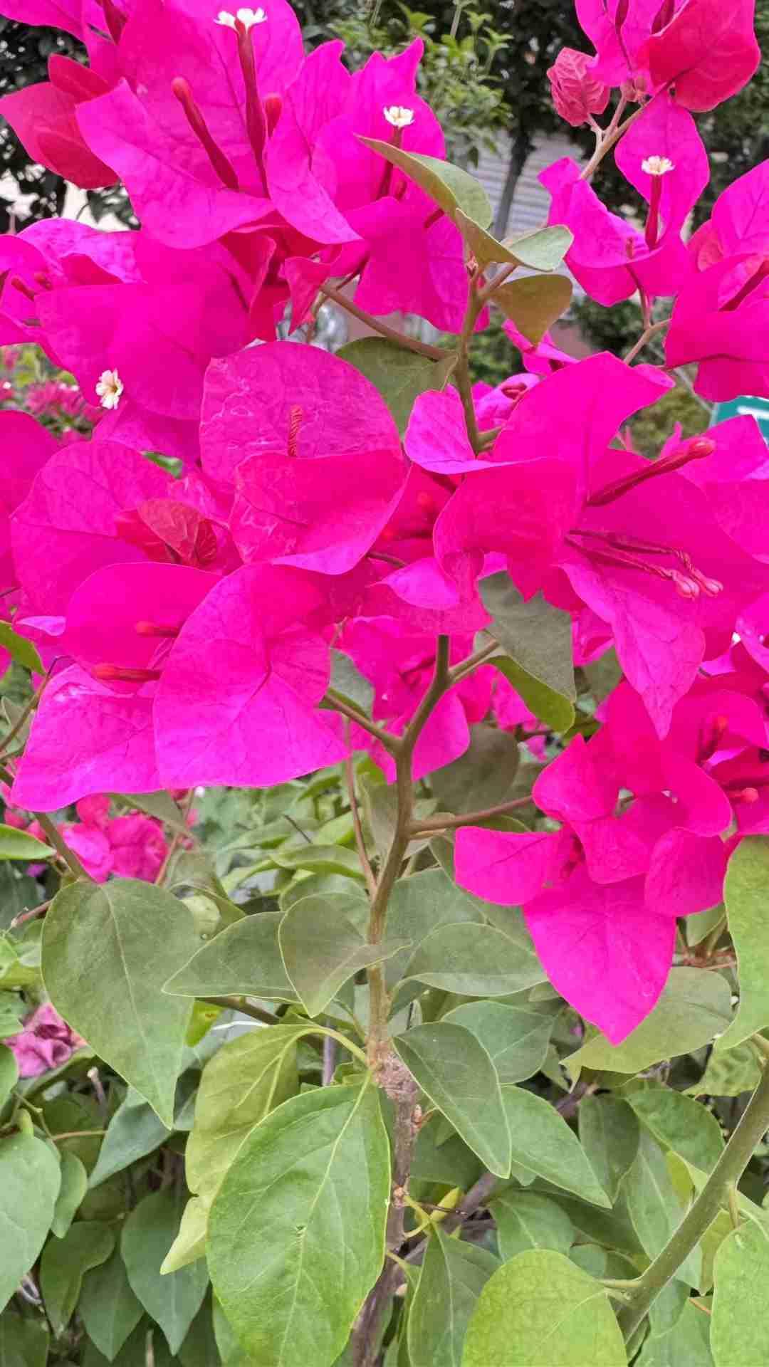 我的今日状态：😁轻松愉快
我这里的天气：🌤️多云