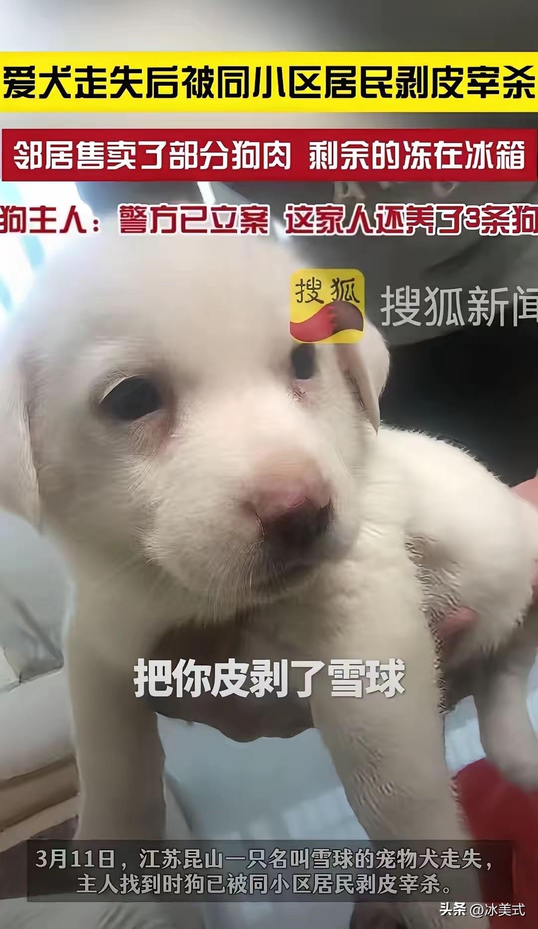 江苏，一女子下班回家没关好门，导致家里的宠物狗偷跑了出去，结果被小区一老人剥了皮