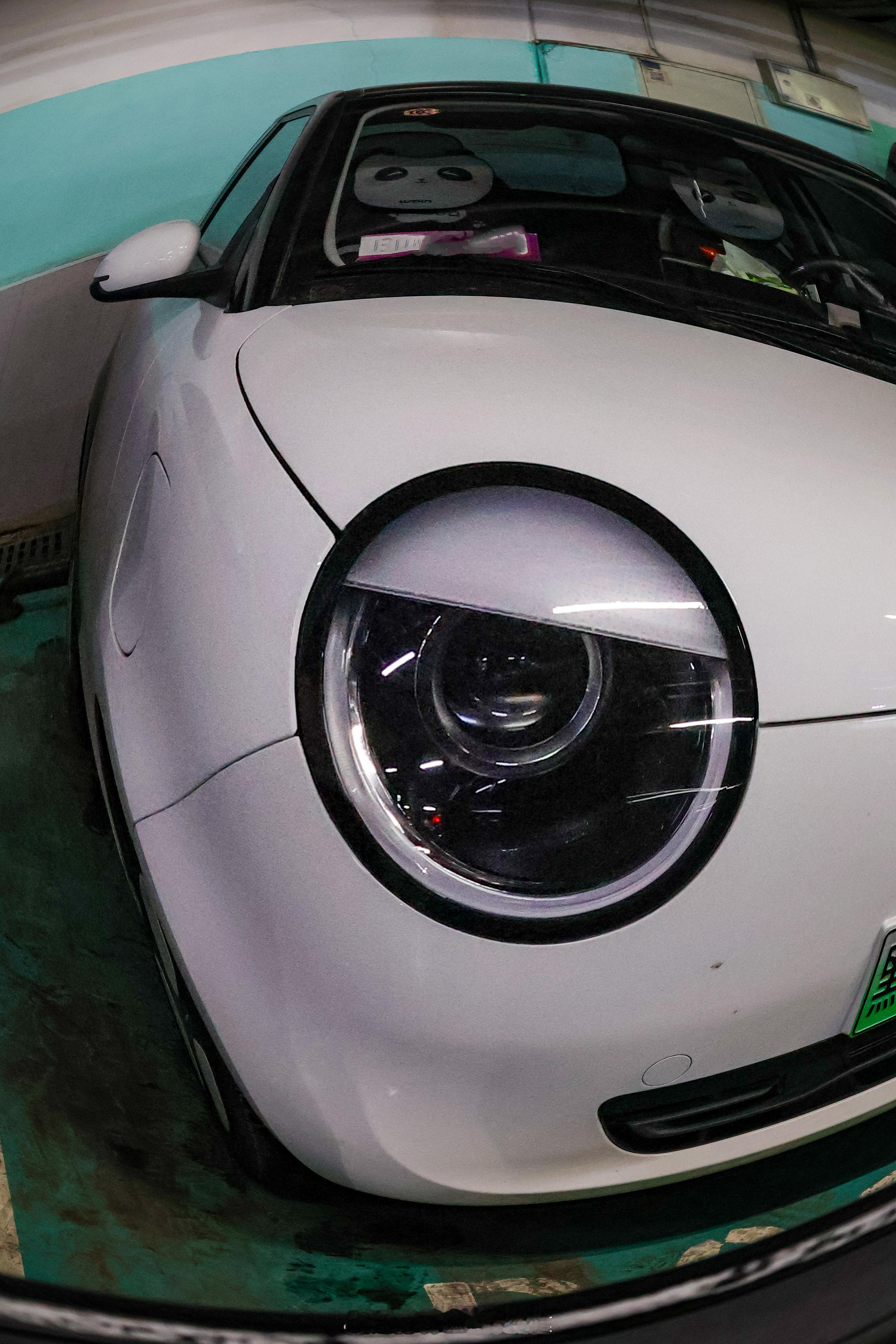 邪恶糯玉米👻 哈尔滨