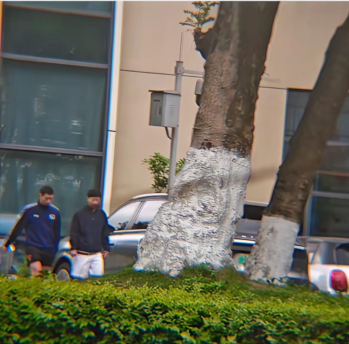 看到哥俩一起下训的场景，
眼眸不自觉的湿润起来，

一个是乒协副主席，
一个是手