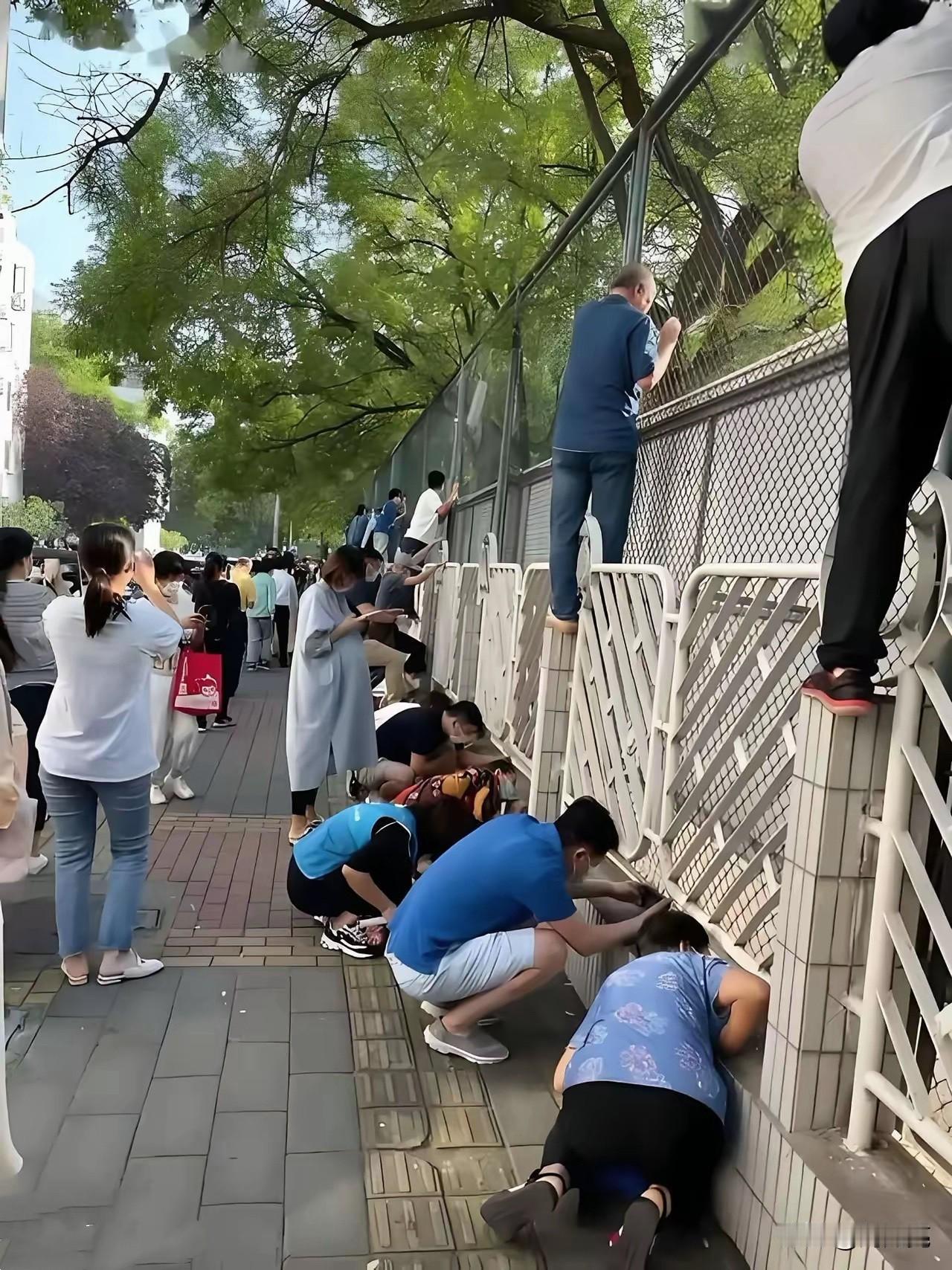 建议小学恢复5年制、初高中各恢复二年制，加上幼儿园三年，实行12年义务教育制度。