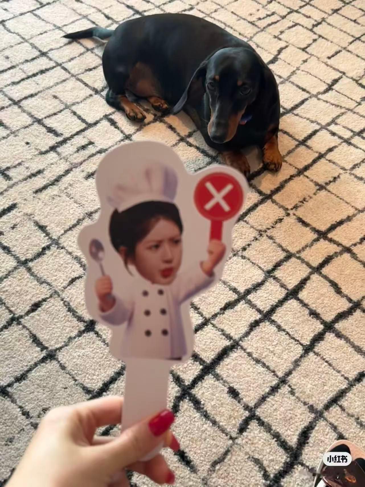 同款打卡牌已get✅