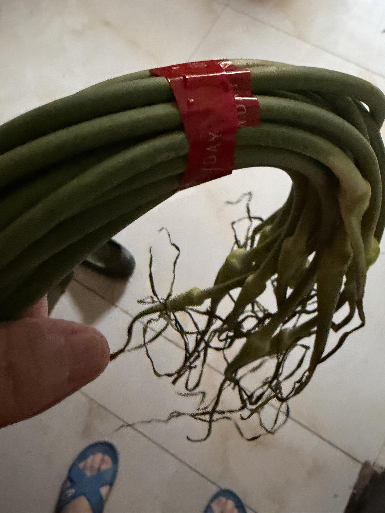 什么人发明的用胶带绑蔬菜？还贤癌症少了吗？这个胶带上全是胶原，菜上胶很难马上冲洗