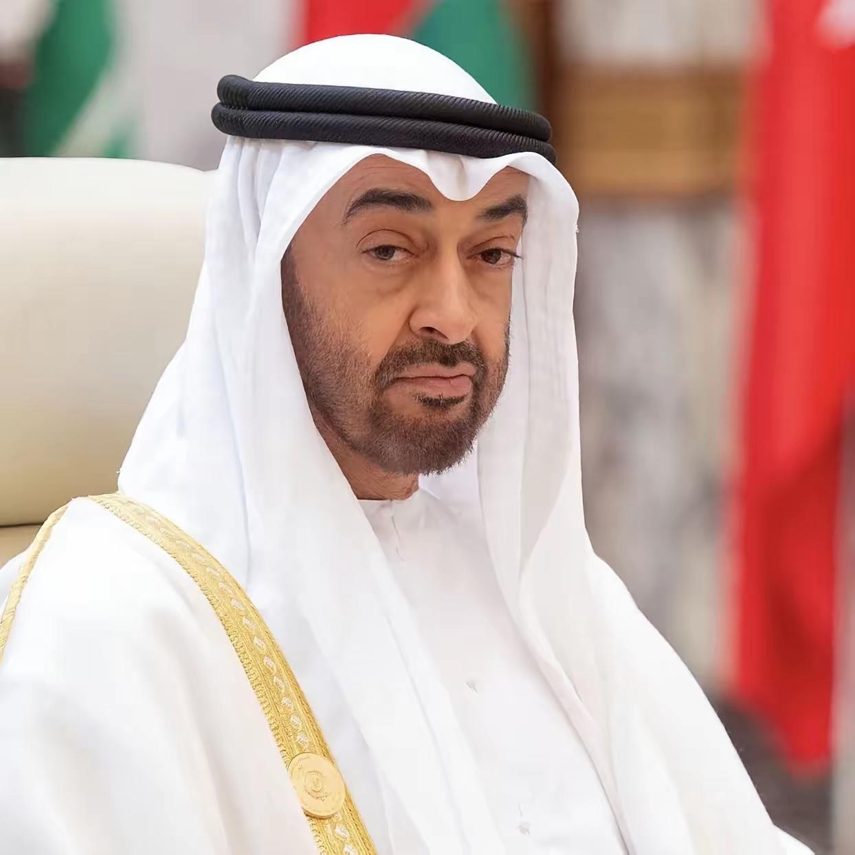 这是一条足以震动中东乃至全球金融格局的重磅消息。阿联酋冻结了价值5300亿美元的