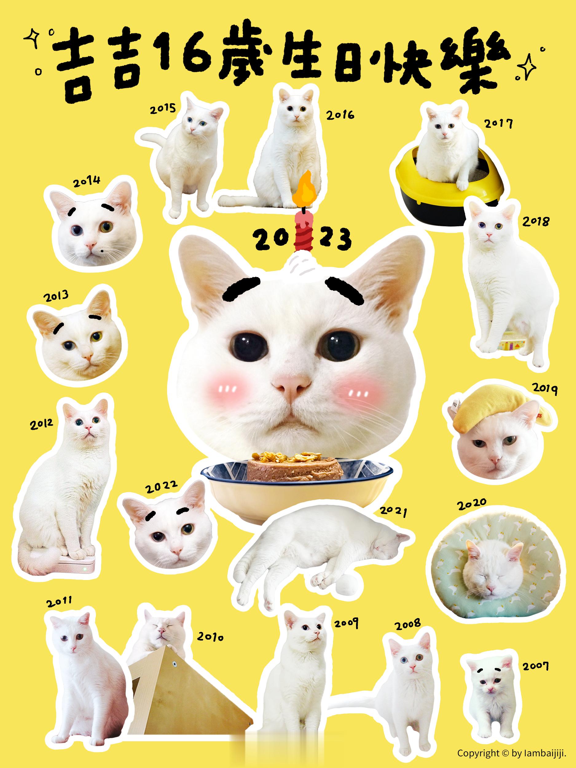 今天是吉寶寶生日（成為家人的日子）一樣許願身體健康好吃好喝好睡好棒愛你久久～❤️