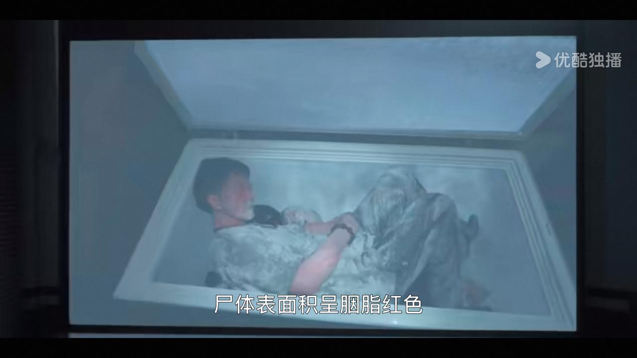 梅叔你咋进冰箱里头了？难道你想变成杨梅，根据法医的说法梅叔跟人搏斗过，晓何自己的