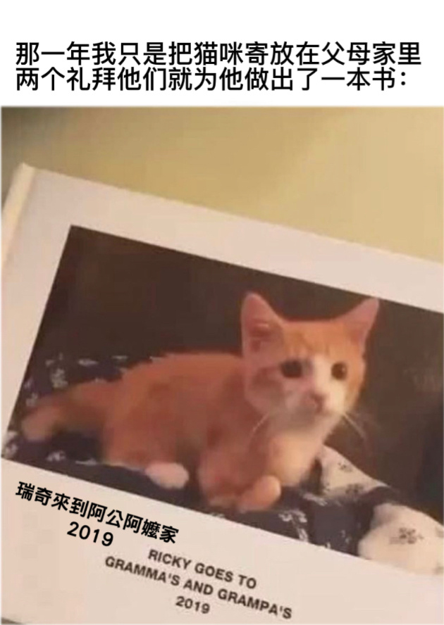 再放几天可以出一部电影#今日memes# ​​​