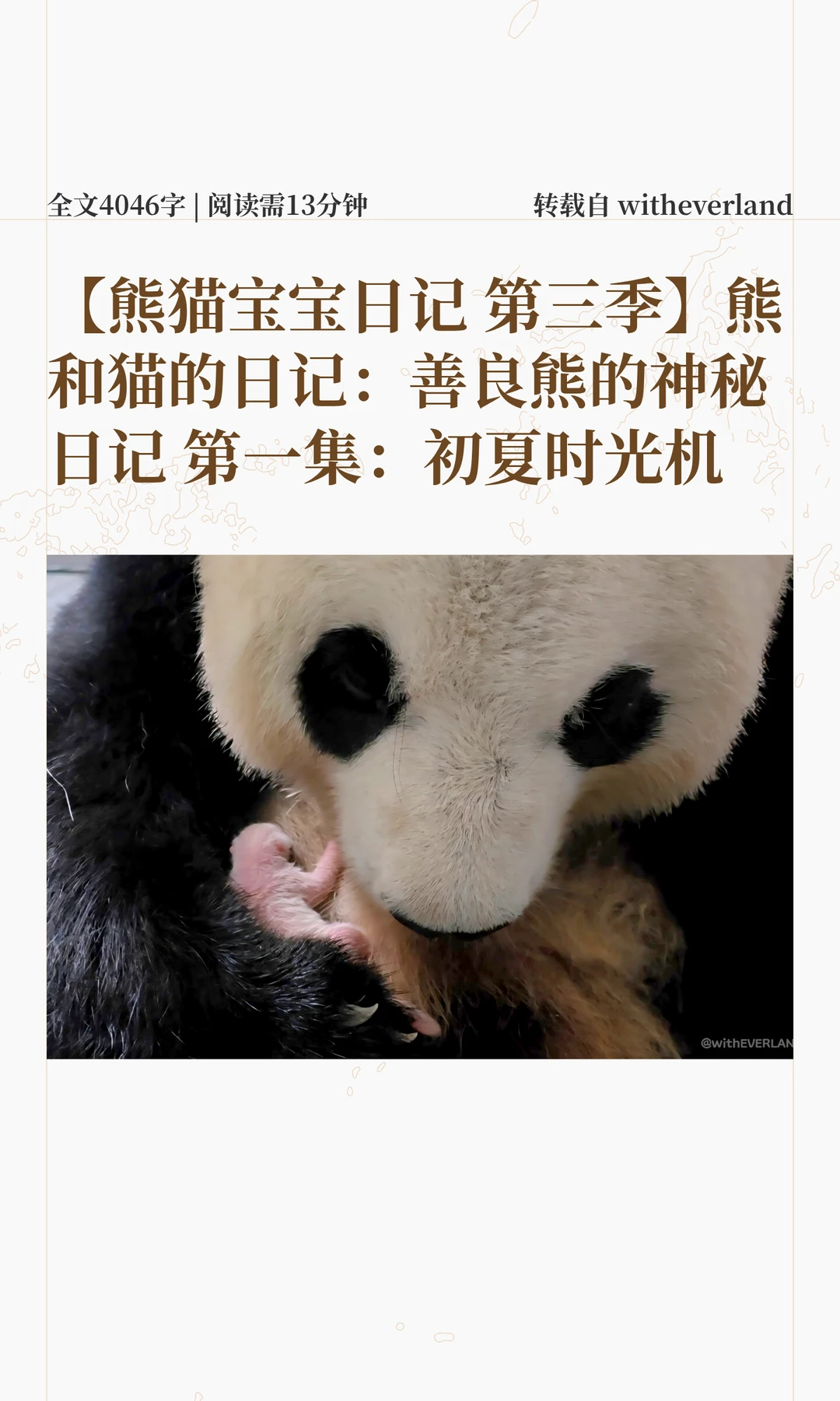 爱宝乐园四公主成长日记