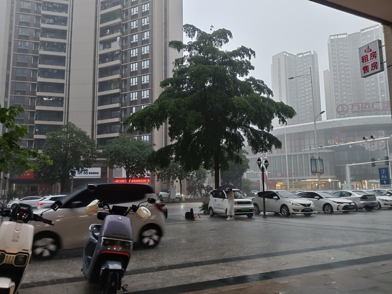 雨落城隅

 □ 周兴华

雨丝织成半透明的纱
把楼群、万达的招牌
都浸成模糊的