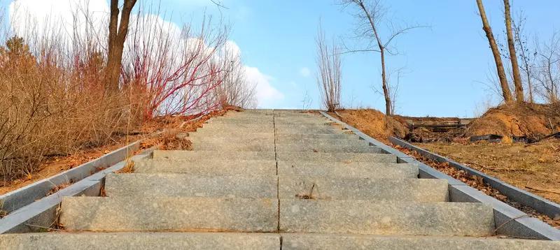 人生路上选上坡还是下坡，这就像在游戏里选难度模式。选上坡，那就是困难模式。每一步