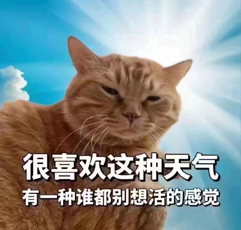 台风前夕，怎么更热了啊啊啊感觉自己要被蒸晕[困]+一组高温很热的表情包，拿图吱吱