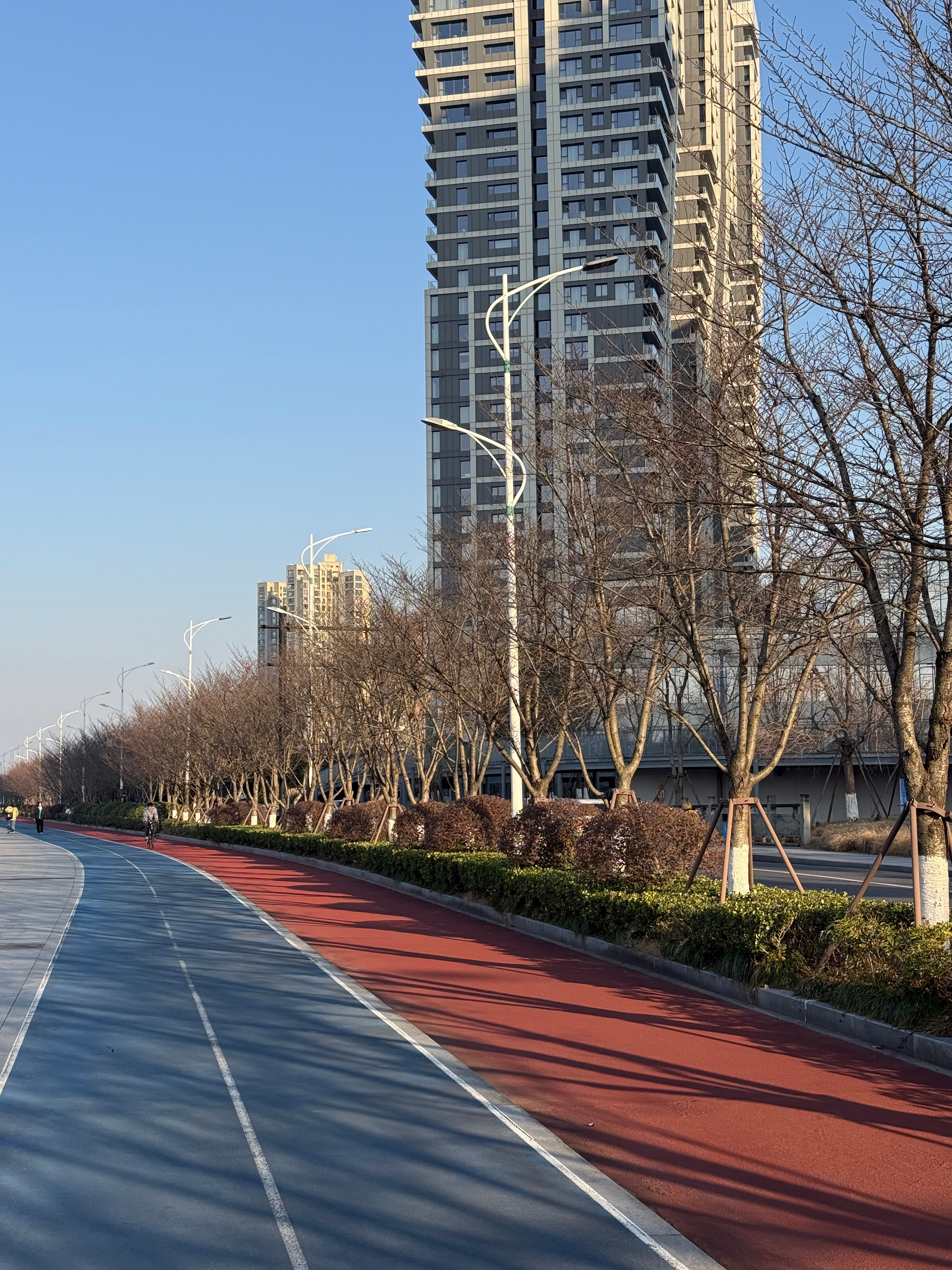 杭州最美樱花跑道，樱花冬天都凋零了 但运动的人还是挺多～ 杭州的道路名称都很诗意
