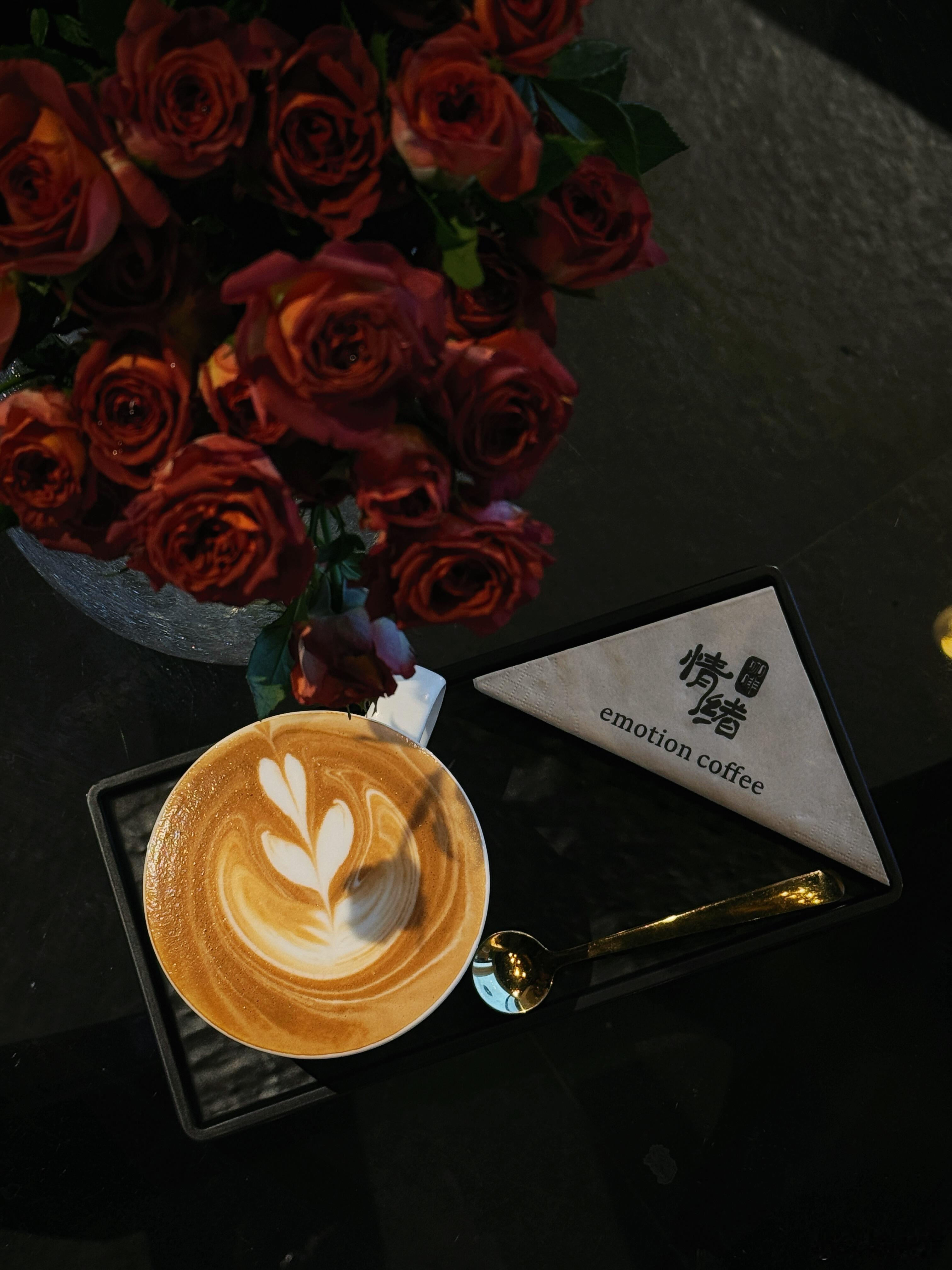 院子里来过许多阳光灿烂的人，也来过不少性格古怪的人，都是过客，谁都很难对我构成情