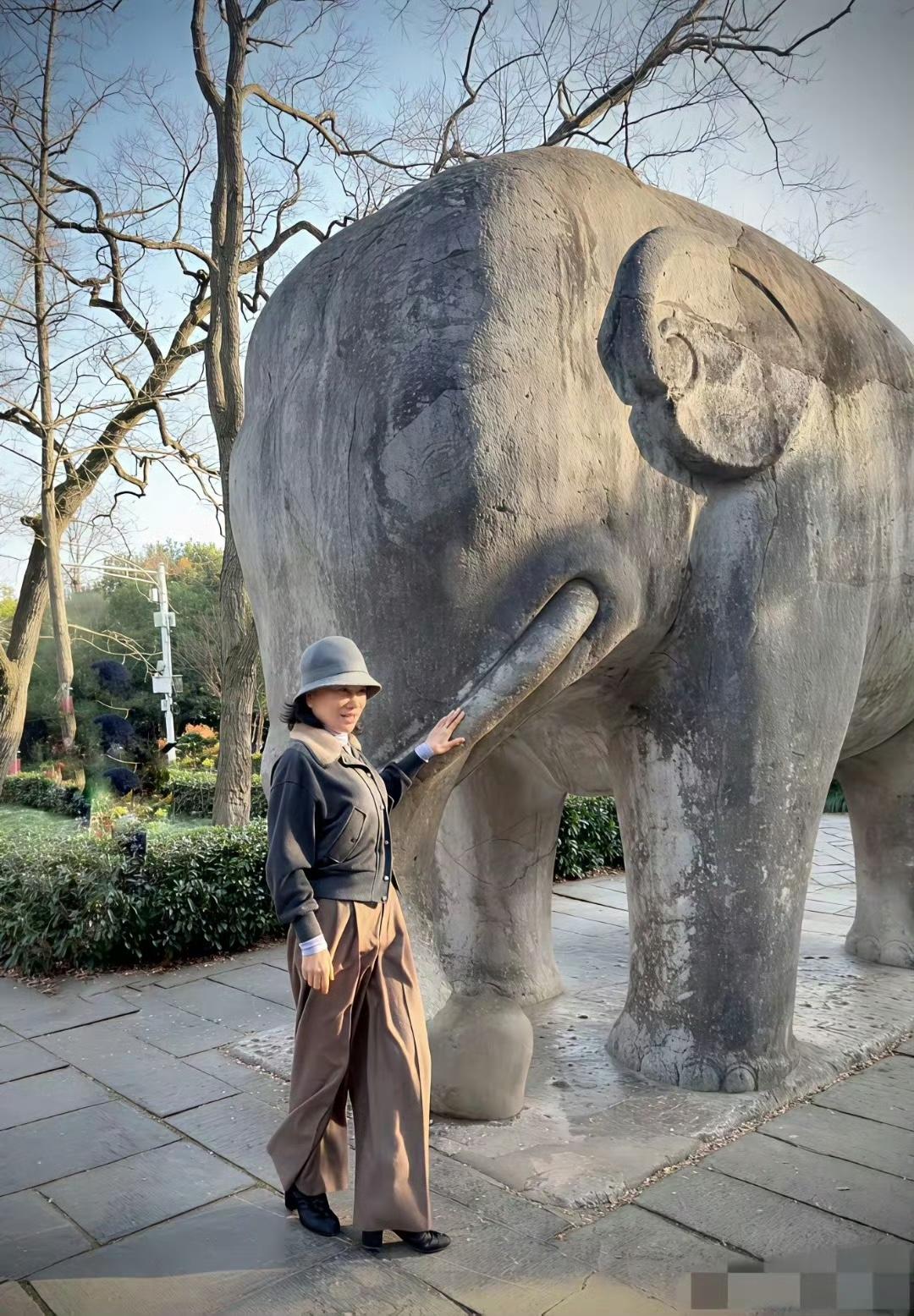 董大姐现身南京，看上去精神矍铄，用华为手机拍摄大象，一大把年纪了状态还这么好也是