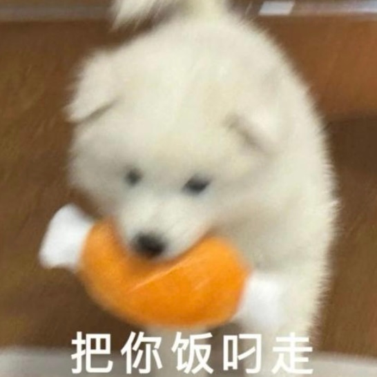 饿急了我就这样🍽️泥嚎你的蹭饭大盗已就位