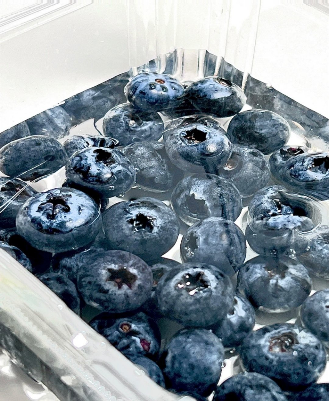 种植 蓝莓种植方法一、选取种子种植蓝莓的时候要先选取种子。从果实里面取出种子，取