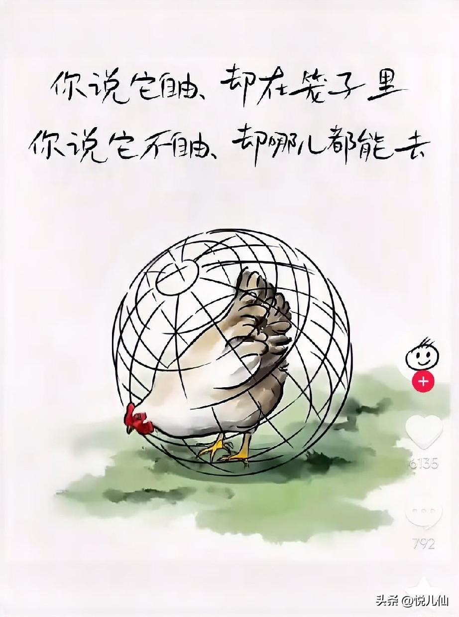 我憎恨
永远的死去，
也讨厌
糊里糊涂
劳劳碌碌的活着！