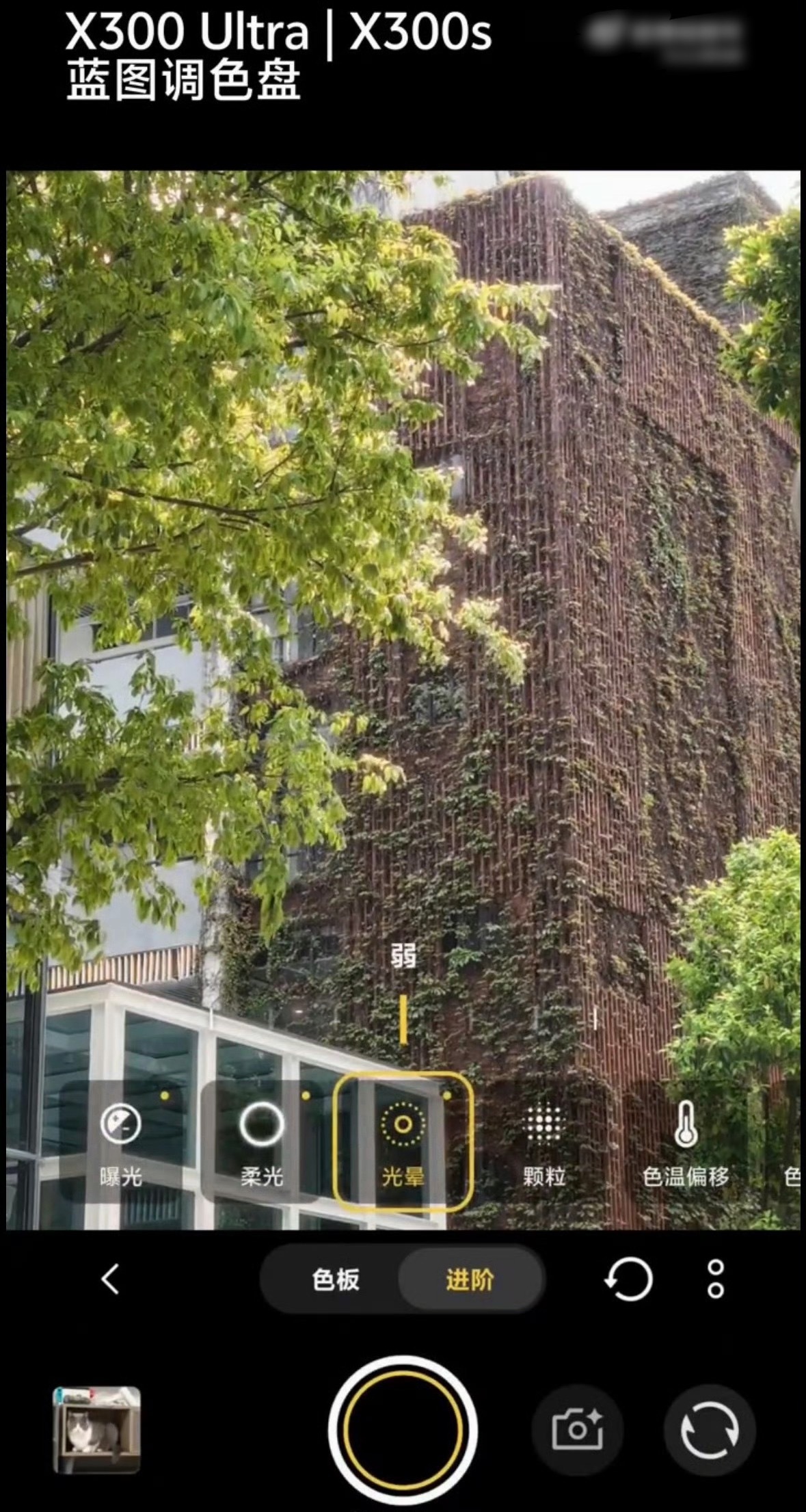 vivo X300s这次上了调色盘功能，可自定义调节选项有很多，比如柔光/光晕/