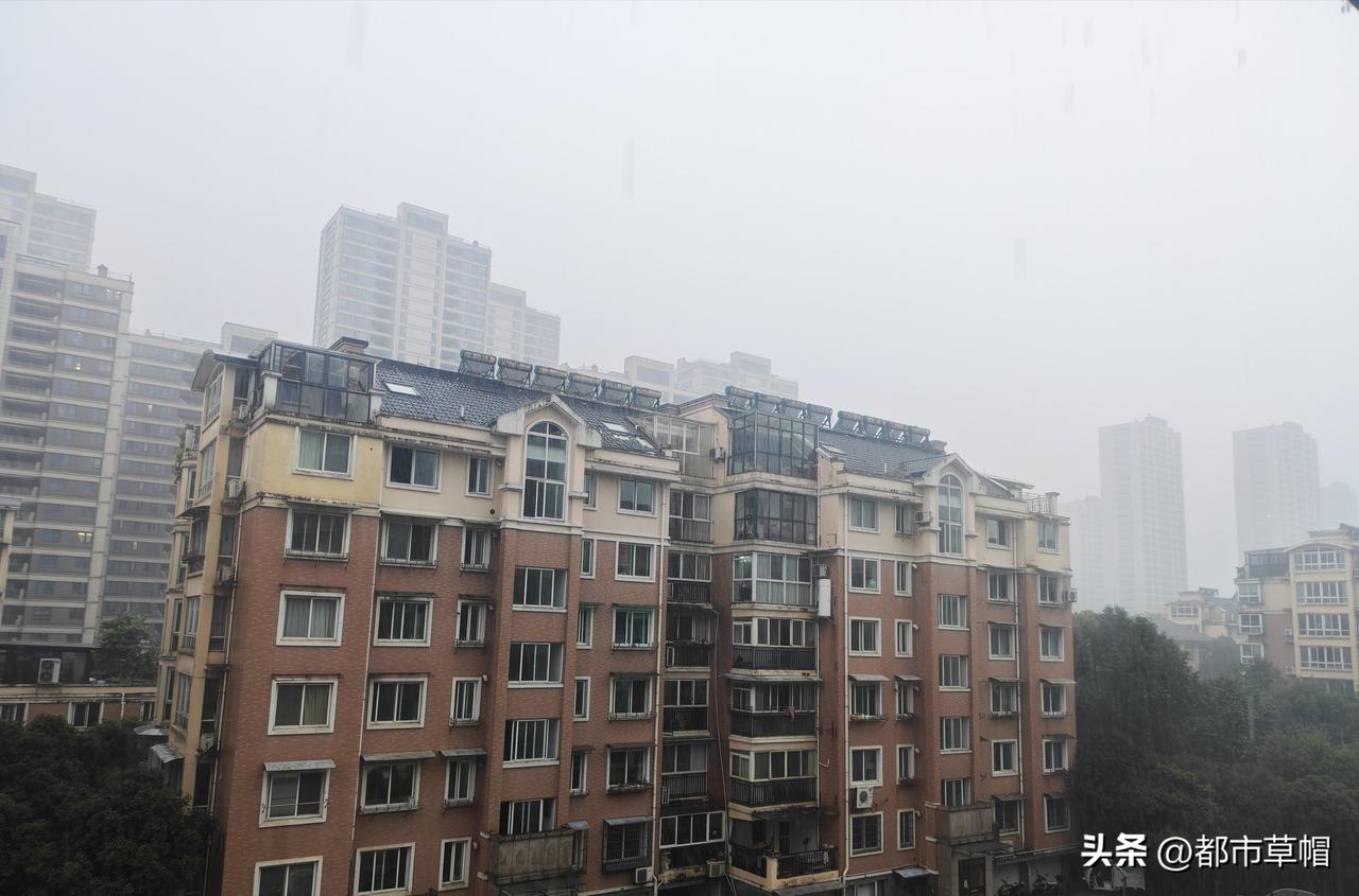 好几天的高温天气，而且是高温天晴。绿化带里的植物蔫蔫的，浇了水似乎马上就干了。今