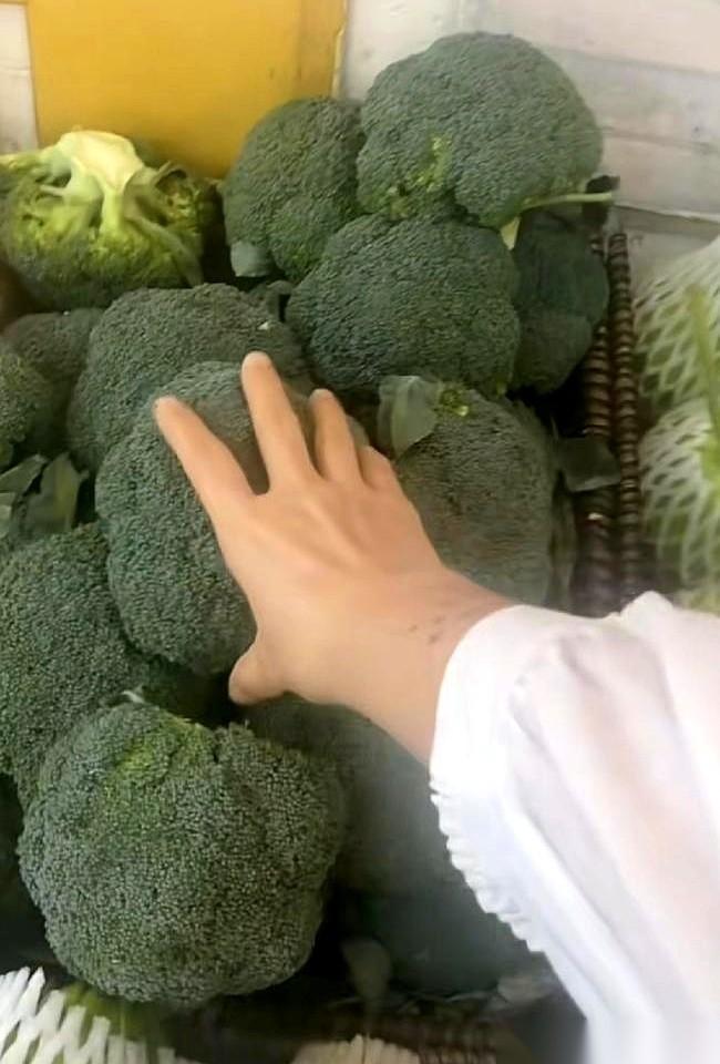 小杨阿姨清晨拉着小车去菜市场的背影，我觉得，秒杀了一切朋友圈里的凡尔赛。
真的。