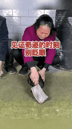 鸡:我们被人施了魔法了，动不了了[流泪]