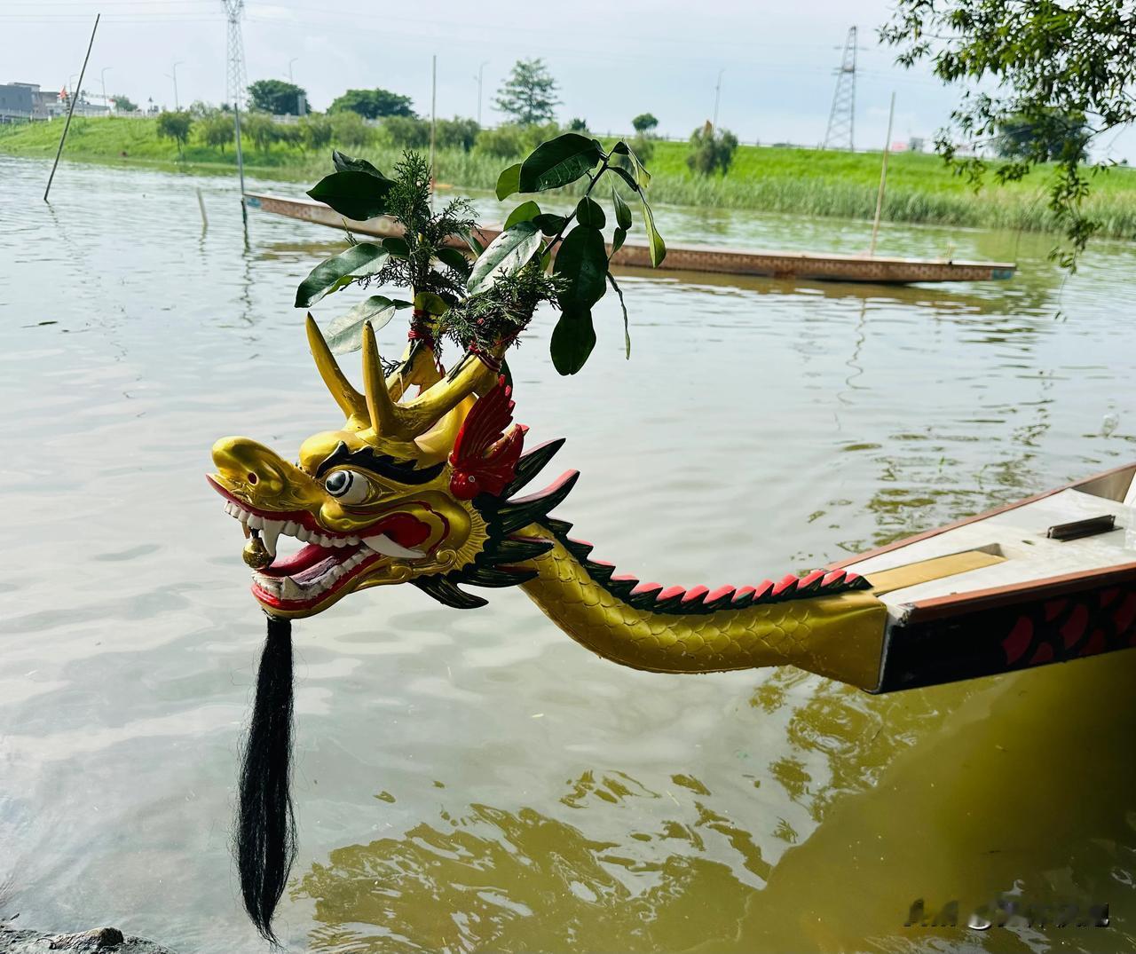 江门鹤山沙坪河边，今年端午没有龙舟竞渡，不过听说河上有游船，雨后天晴，三点多到了