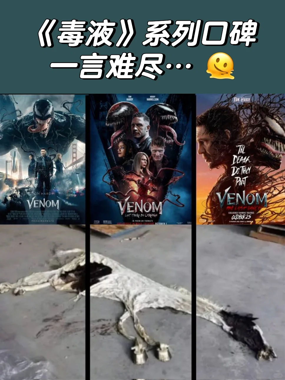 谁赞成，谁反对？🙅